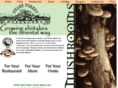 ozarkforest.com