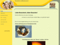bhe-inc.info