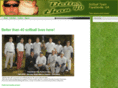bt40softball.com