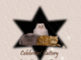 celebritiescattery.com