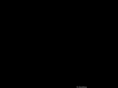 everettmccourt.com