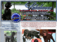 lakehavenstandardpoodles.com