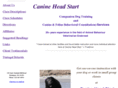 canineheadstart.com