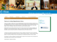 indyvillagemontessori.com