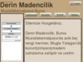 derinmadencilik.com