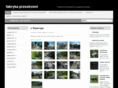 fabryka-przestrzeni.net