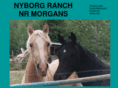 nrmorgans.com