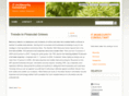 nyexchangeconsulting.com