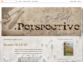 chadsperspective.com