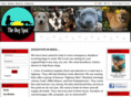 thedogspotrescue.org