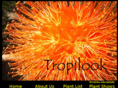 tropilook.com