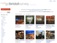 bristolrisingsurvey.com
