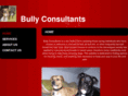 bullyconsultants.com