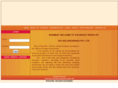 daybizonline.com