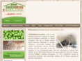greenbeaninsulation.com