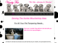 vanityfurgrooming.com