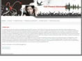 cell-phones-information.com