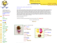 mumbaiflorist.com
