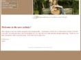 ambernix.com