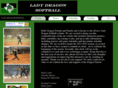 carrollsoftball.com