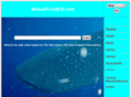 mutualfundeq.com