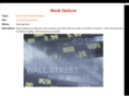 stockoptionsts.com