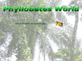 phyllobatesworld.com