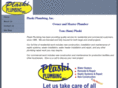 plaskiplumbing.com
