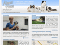 winstonsalemboarding.com