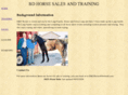 bdhorsesales.com