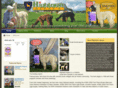 highlandalpaca.com