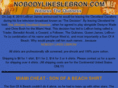 nobodylikeslebron.com
