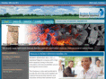 rodnisservices.com