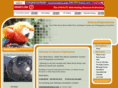 sensoryexpressions.com