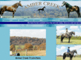 ambercreekfoxtrotters.com