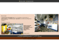 articolimedicalicadenassoestringhini.com