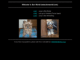 bonworld.com