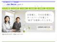 joy-serve.com
