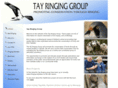 tayringinggroup.org