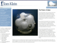 tomklein.com