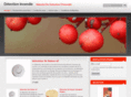 detectionincendie.com