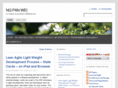 ngpanwei.com