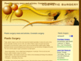 plasticsurgeryeditorials.com