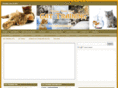 talkcattraining.com