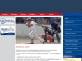 beisbolnica.com
