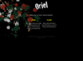 icioriel.com