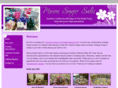 maxinesingersales.com