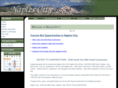 naplescityut.com
