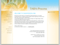 taraprocess.com