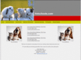 vetschools.com